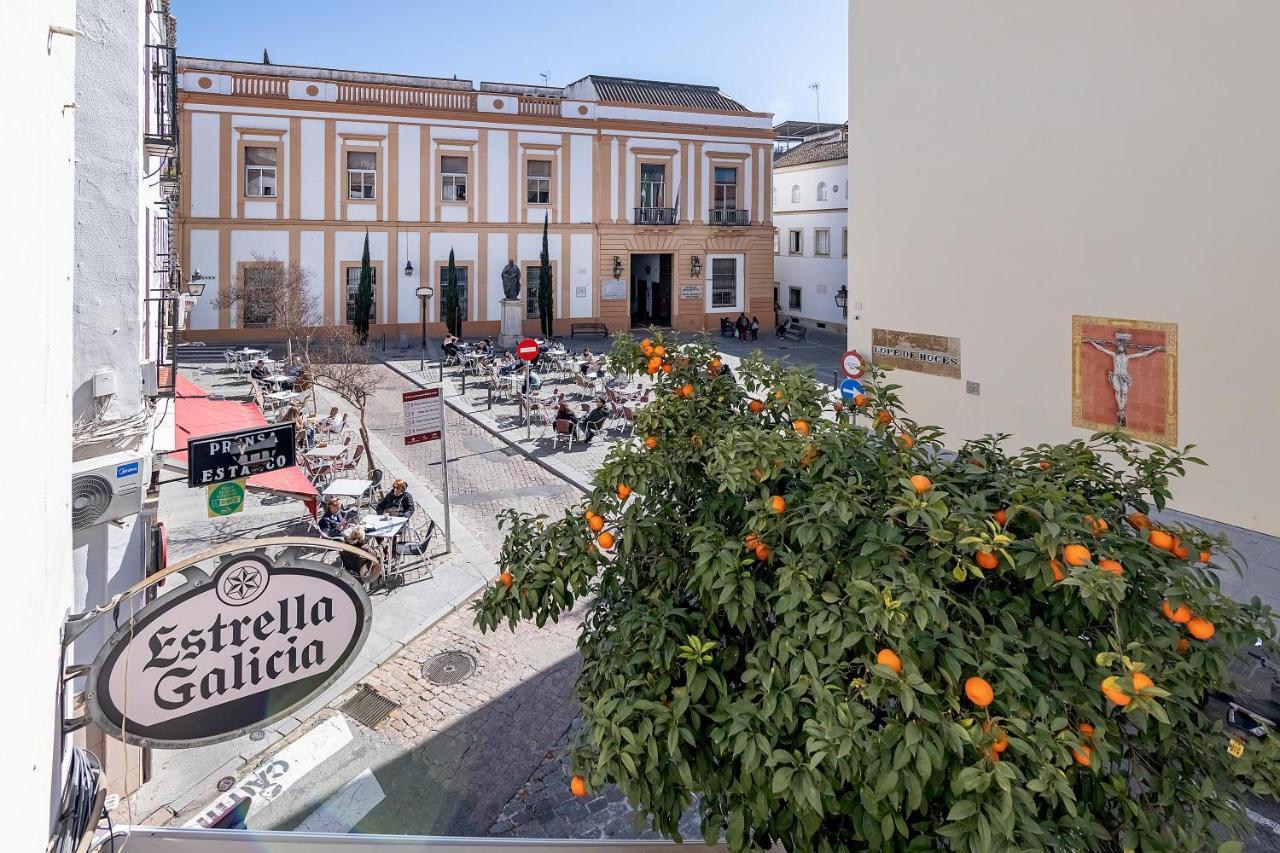 Bhost - Trinidad Lägenhet Córdoba Exteriör bild